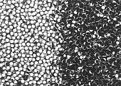 �/� ������