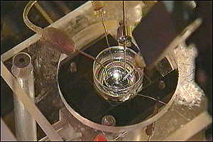 Neurons in the petri dish with electrods