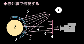 seeng-trough principle