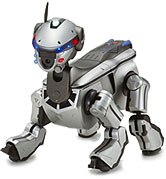 AIBO Explorer